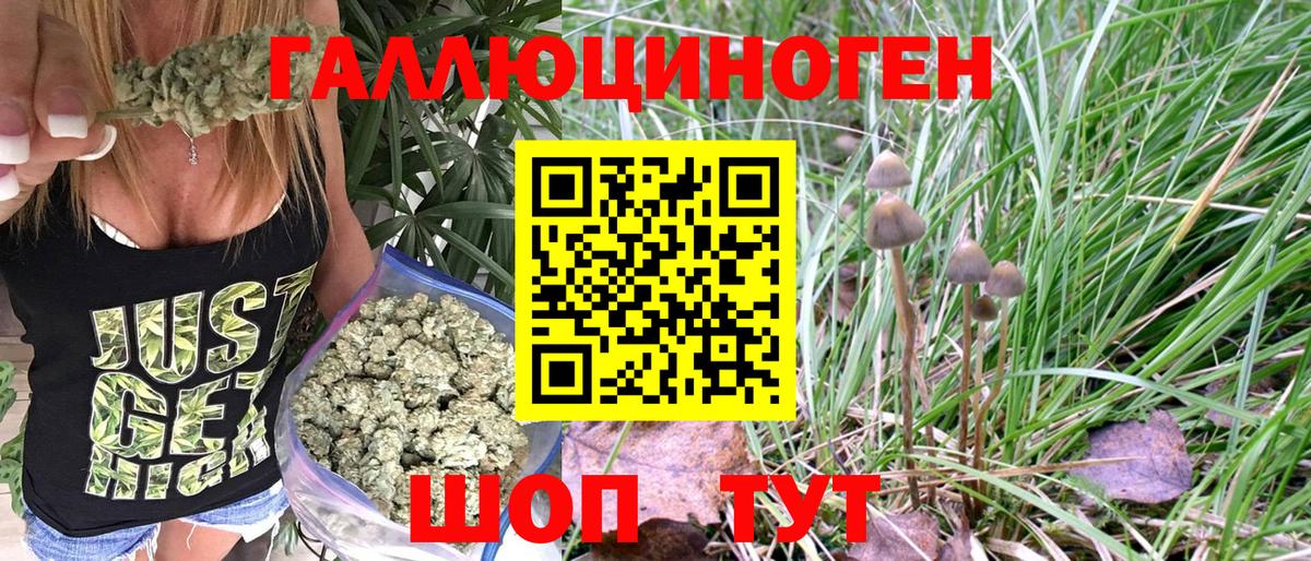 Галлюциногенные грибы MAGIC MUSHROOMS  Вход с VPN  купить закладку  Галлюциногенные грибы MAGIC MUSHROOMS  Каменск-Уральский 