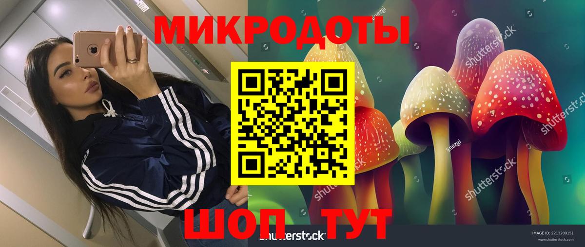 Псилоцибиновые грибы Cubensis Каменск-Уральский